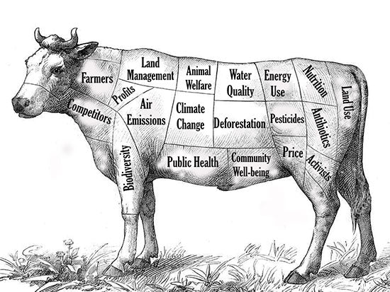 MEAT-FREE: WORTH IT OR NOT?