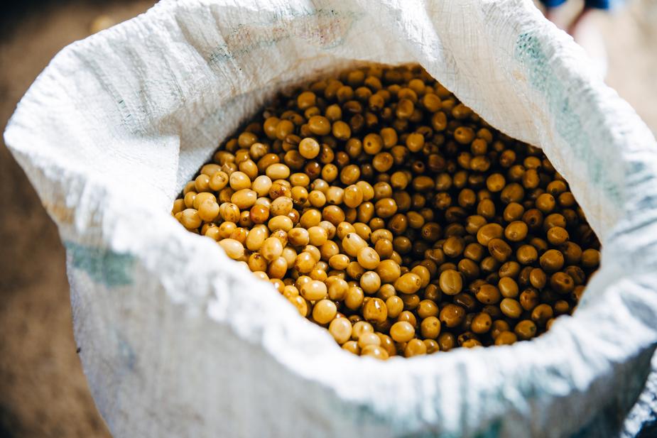 10 PULSES YOU SHOULD BE EATING THROUGHOUT THE YEAR