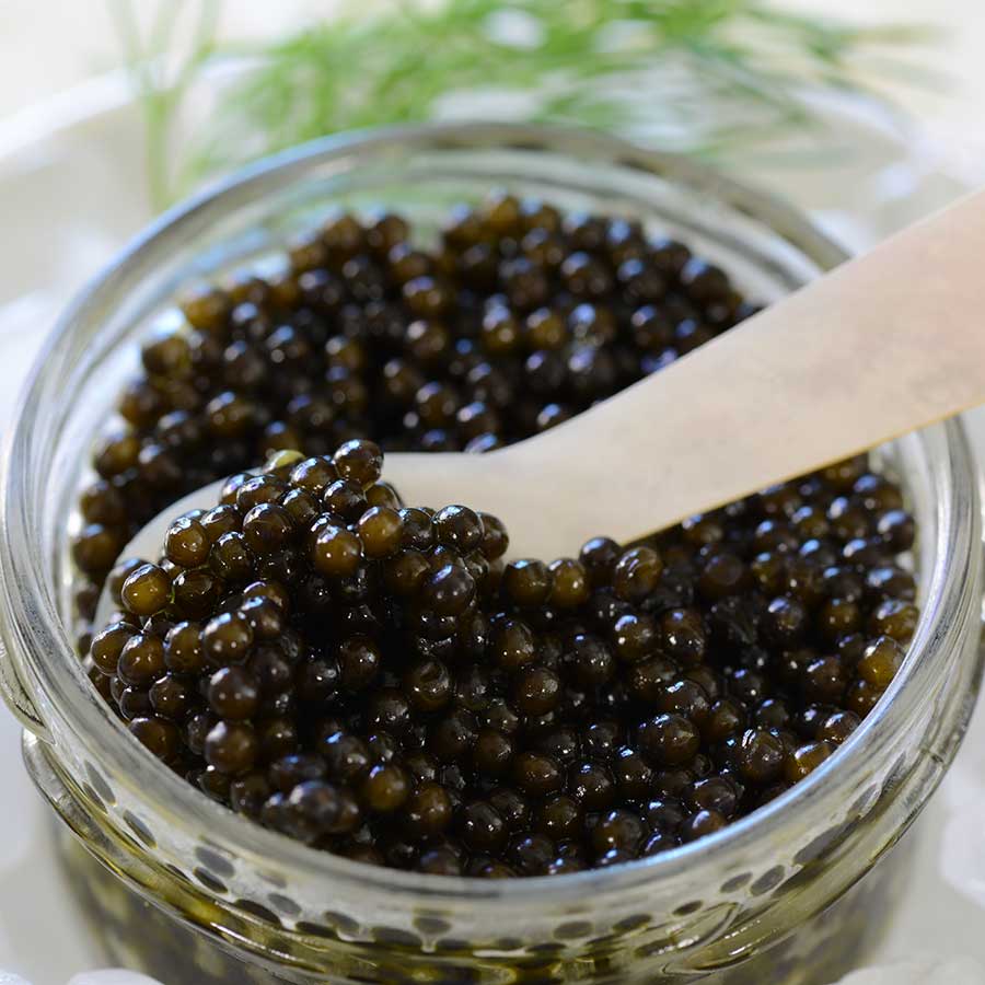 CAVIAR Kaluga Queen Beluga, 250g