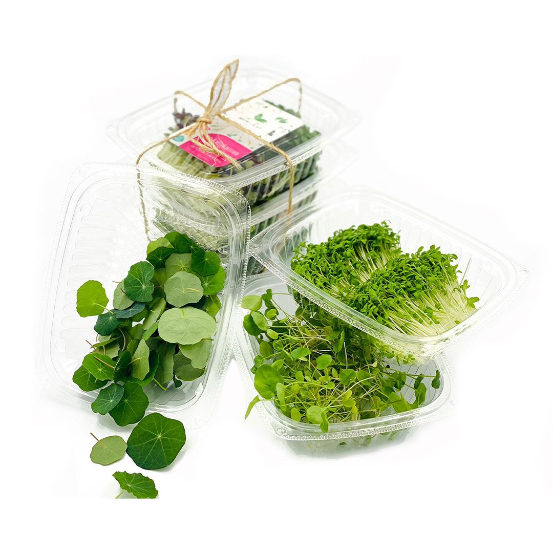 FRESH Microgreens - Bdl Zesty Stack, 3 Pcs (40 to 45g)