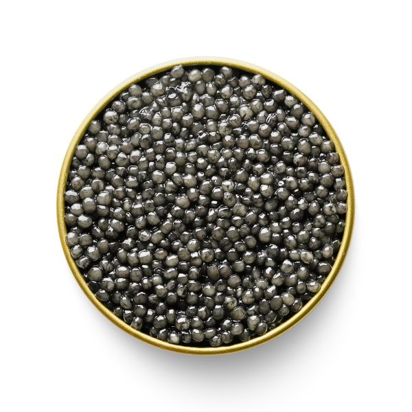CAVIAR Caspian Gray Beluga, 250g
