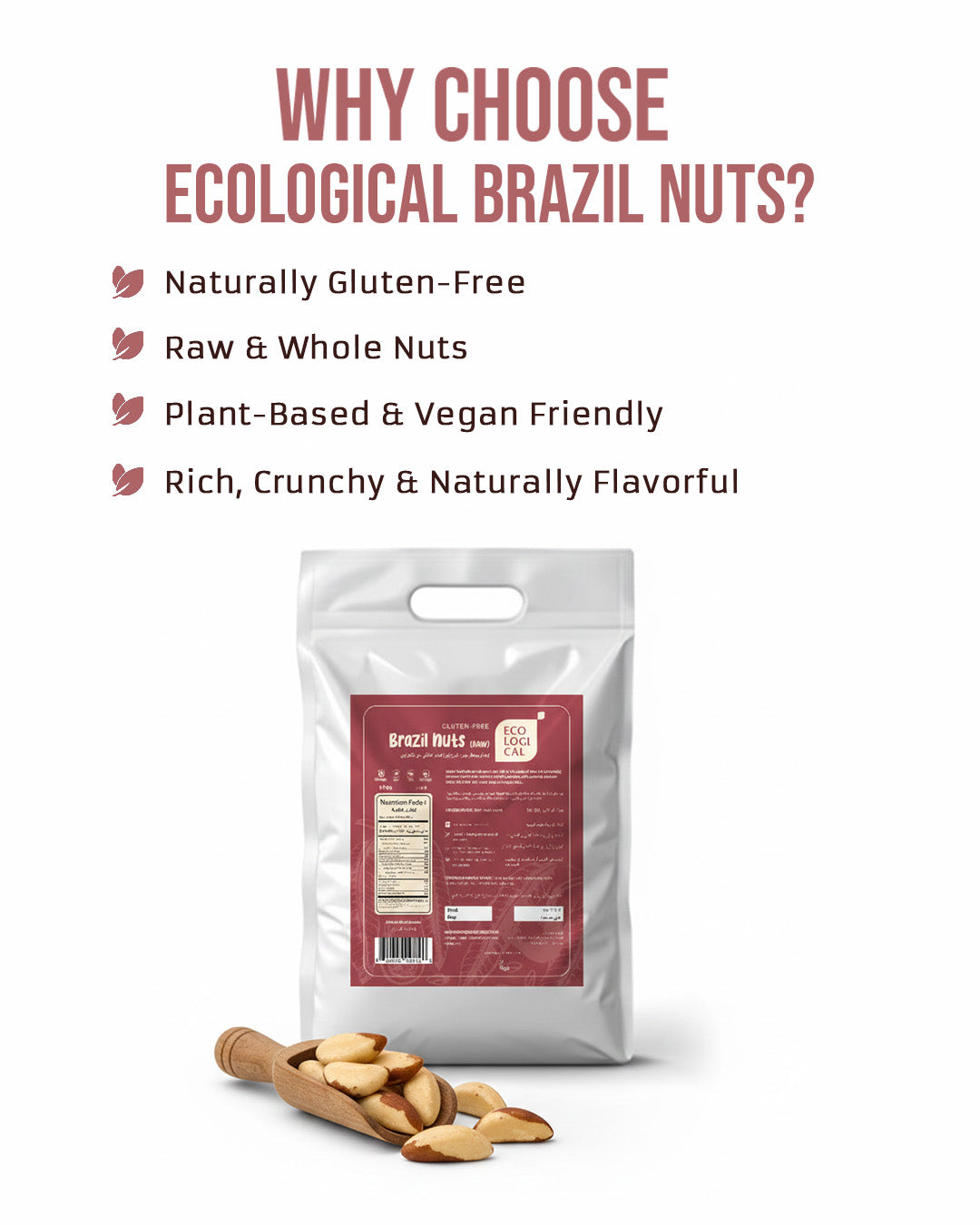 Ecological Brazil Nuts (Raw) 2.5 Kg