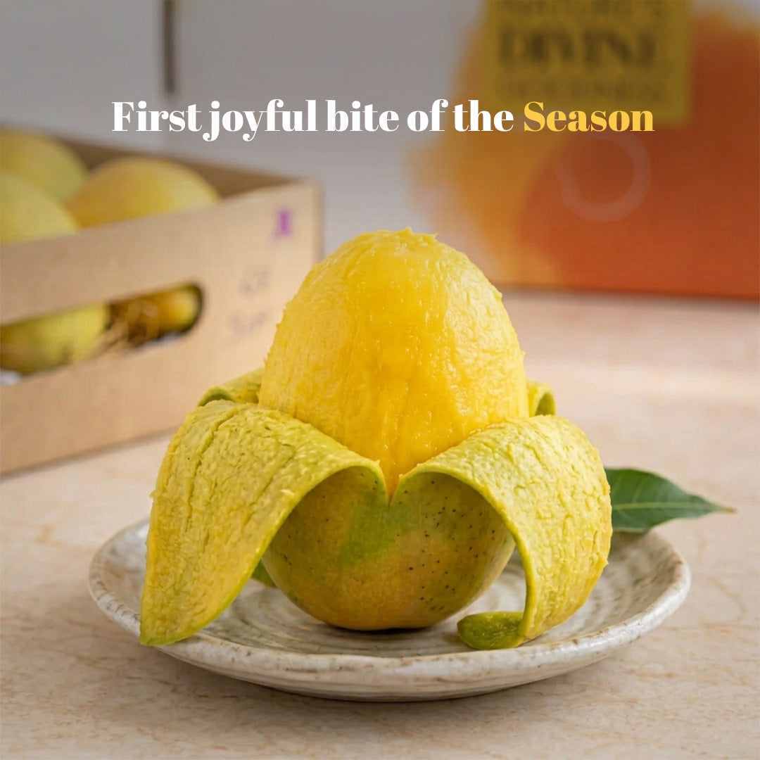 AAMRAI Organic Alphonso Mangoes – Exotic (Box of 12 Premium Ratnagiri Hapus)