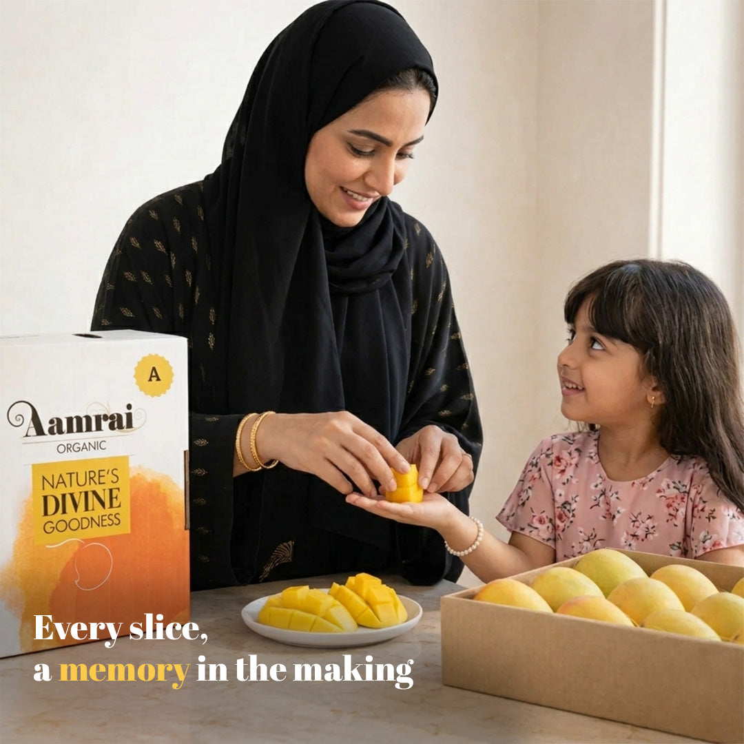 AAMRAI Organic Alphonso Mangoes – Exotic (Box of 12 Premium Ratnagiri Hapus)
