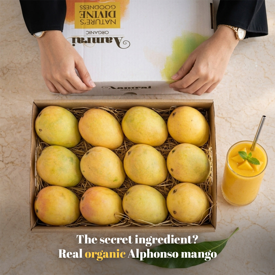 AAMRAI Organic Alphonso Mangoes – Exotic (Box of 12 Premium Ratnagiri Hapus)