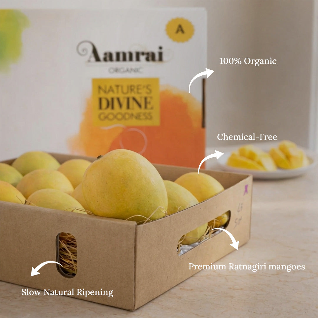 AAMRAI Organic Alphonso Mangoes – Exotic (Box of 12 Premium Ratnagiri Hapus)