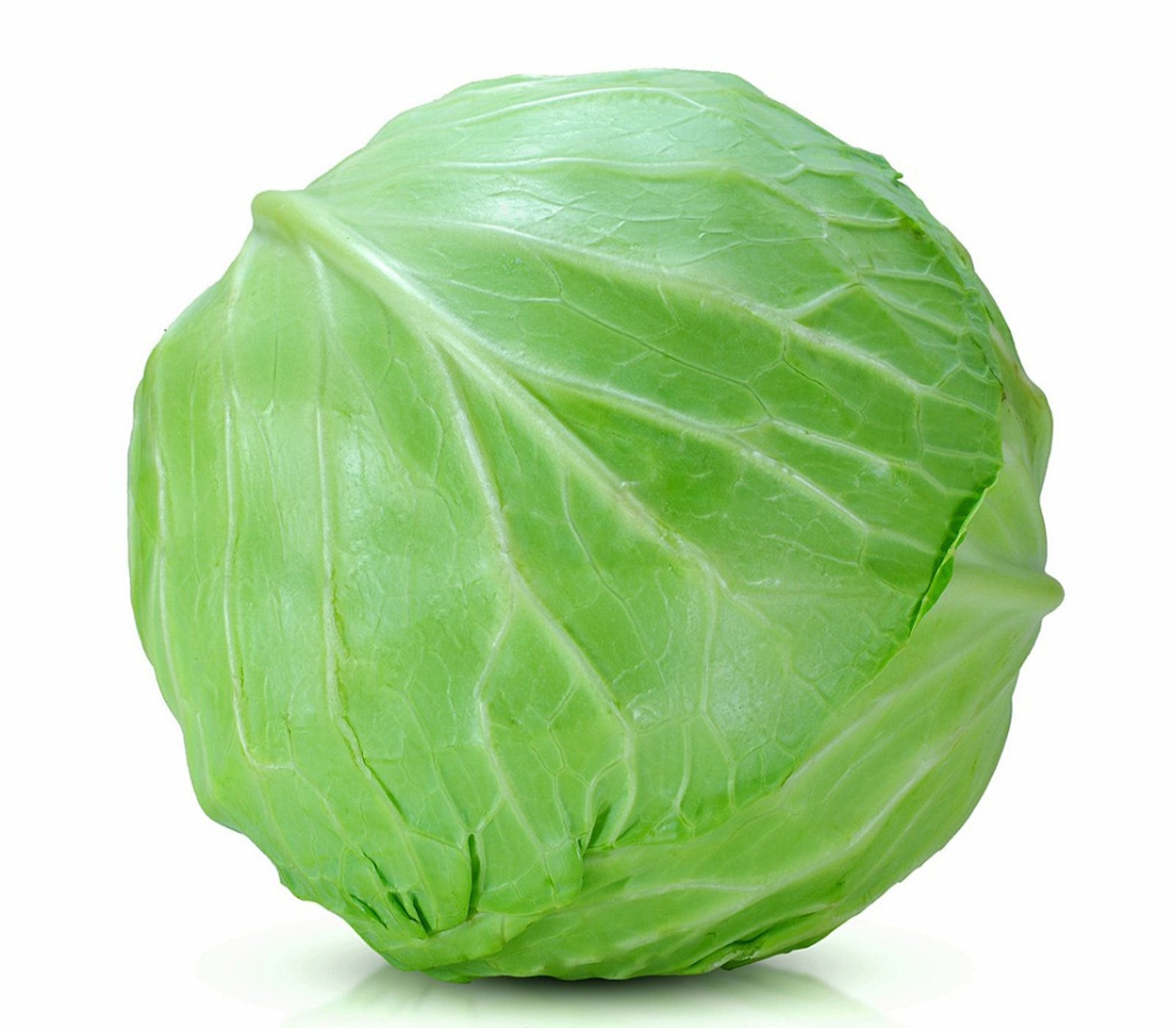 FRESH Cabbages 1.5 to 2 Kg per Pc