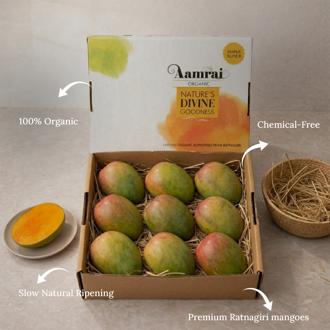 AAMRAI Organic Kesar Mangoes – 9–12 pcs (2.5–3kg Box, Sweet Dessert Mango)