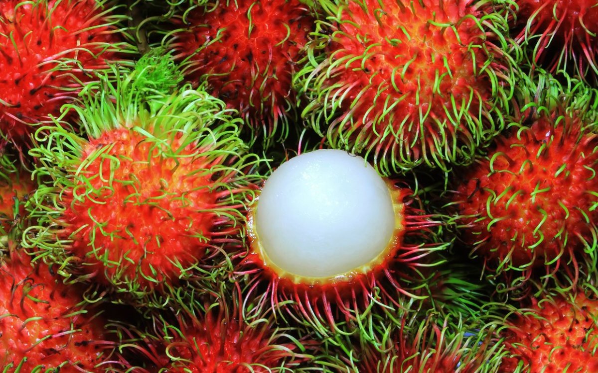 FRESH Rambutans, 500g