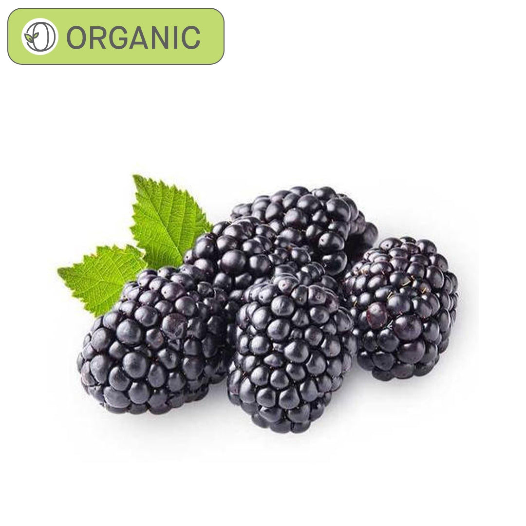 ORGANIC LARDER Blackberries