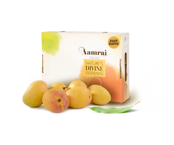 AAMRAI Organic Alphonso Mangoes - Elite, Box of 15Pcs