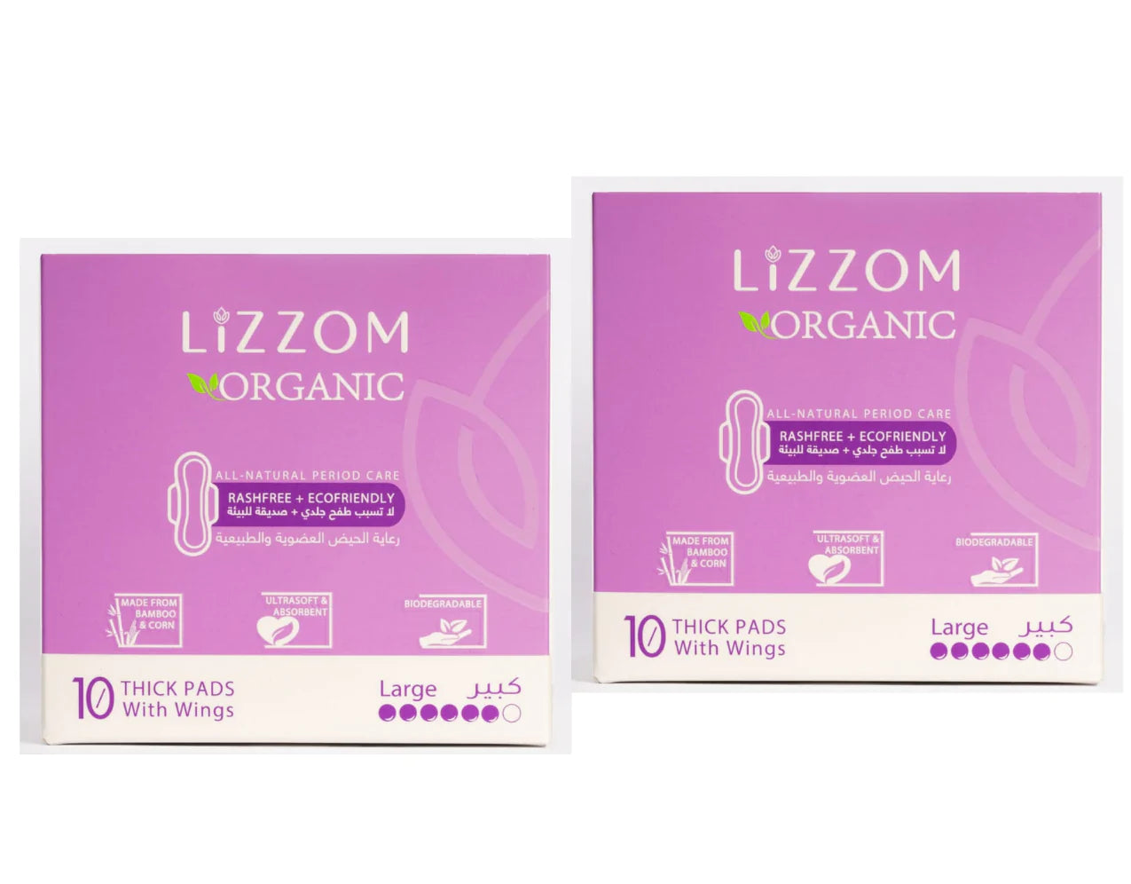 LiZZOM Thick Night Large Pads With Wings (20 pc) - Pack Of 2