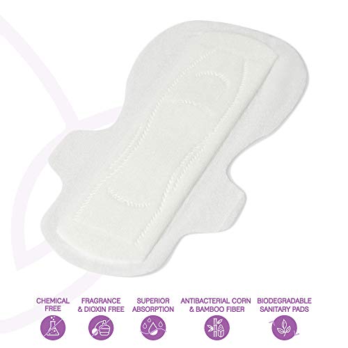 LiZZOM Ultra Thin Regular Pads With Wings (30 pc) - Pack Of 3