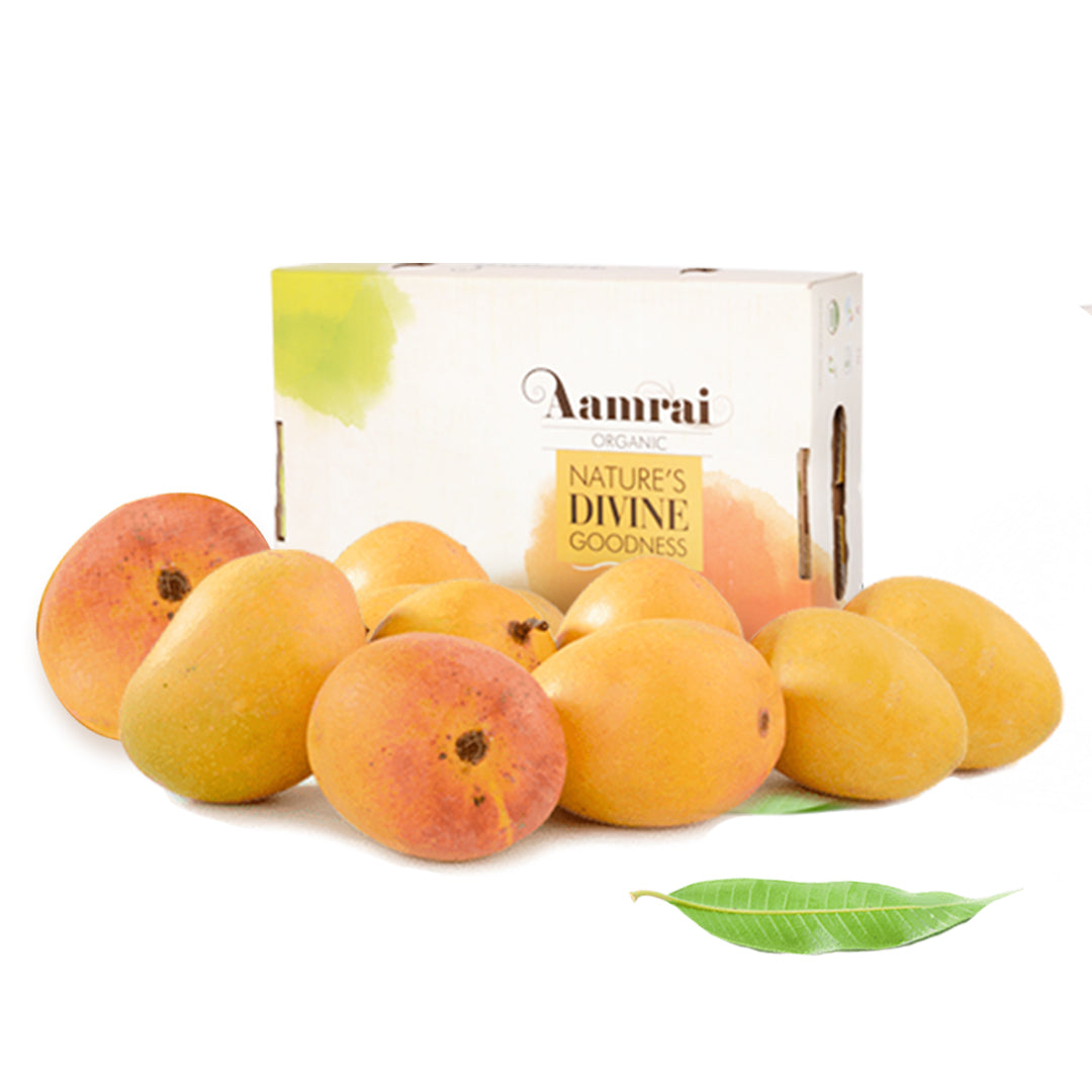 AAMRAI Organic Alphonso Mangoes - Legend, Box of 9 Pcs