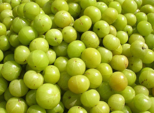 FRESH Amla, 1Kg