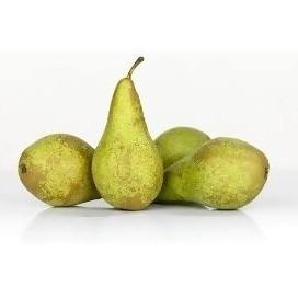 Premium Organic Pear from Holland, 1Kg