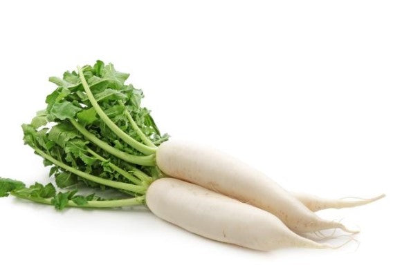 FRESH White Radishes 1Kg 2 to 3 Pcs