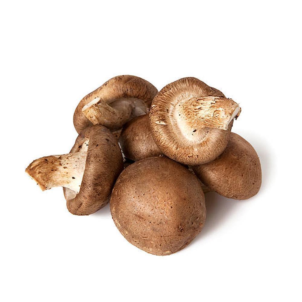 Premium Organic Shiitake Mushroom, Holland, 150g