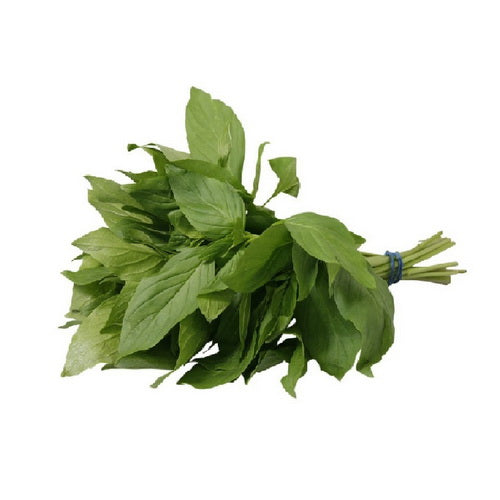 FRESH Sweet Thai Basil 100g