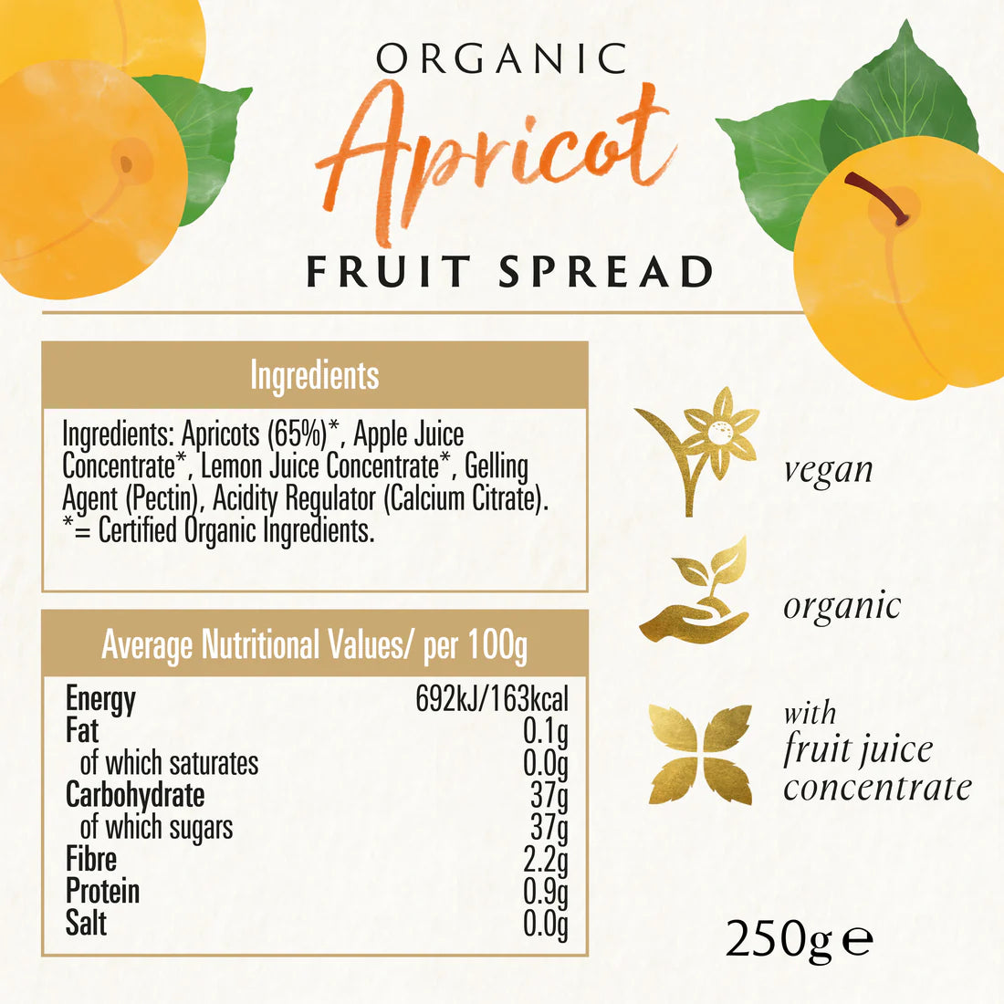 BIONA ORGANIC Apricot Fruit Spread - Pack of 6 (250g each)