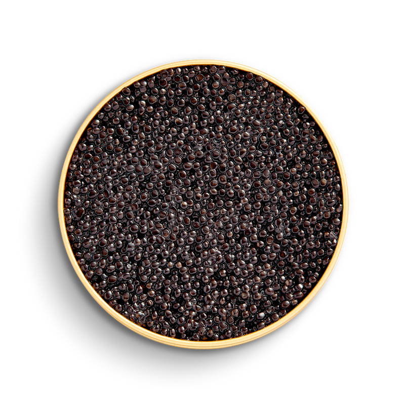 CAVIAR Baeri, 125g