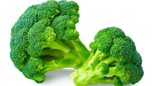 FRESH Broccoli, 1Kg (2 to 3 Pcs)