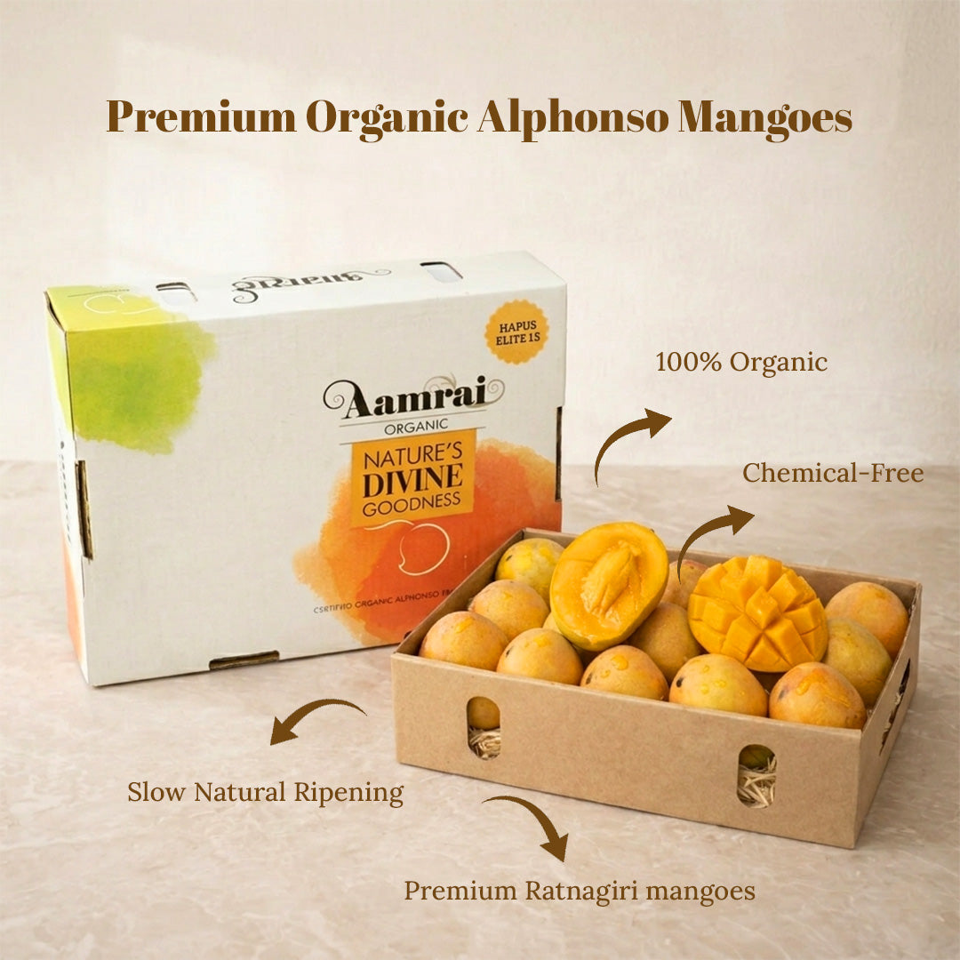 AAMRAI Organic Alphonso Mangoes - Premium Ratnagiri - Elite, Box of 15Pcs (Air-Flown Weekly)