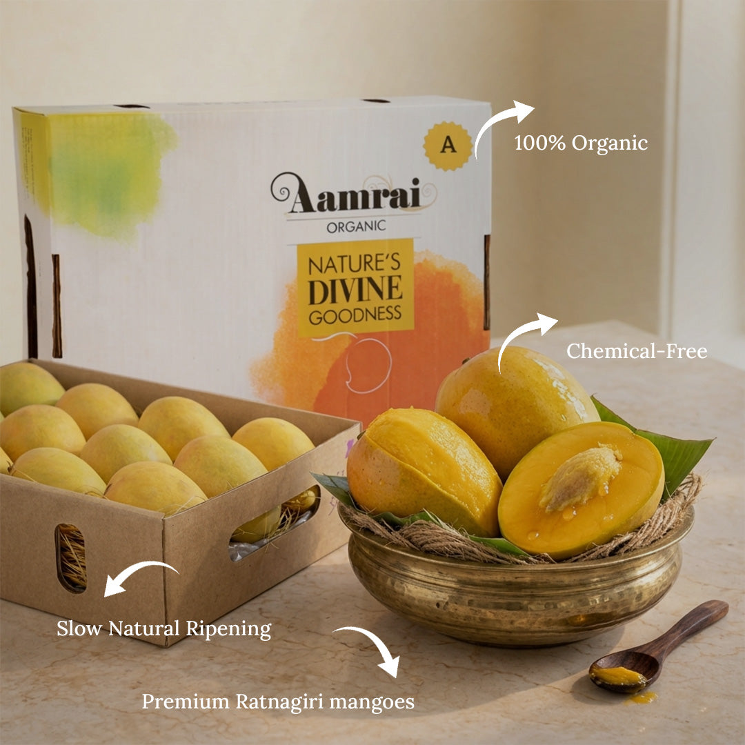 AAMRAI Organic Alphonso Mangoes - Golden, Box of 12, Large Premium Ratnagiri Mangoes
