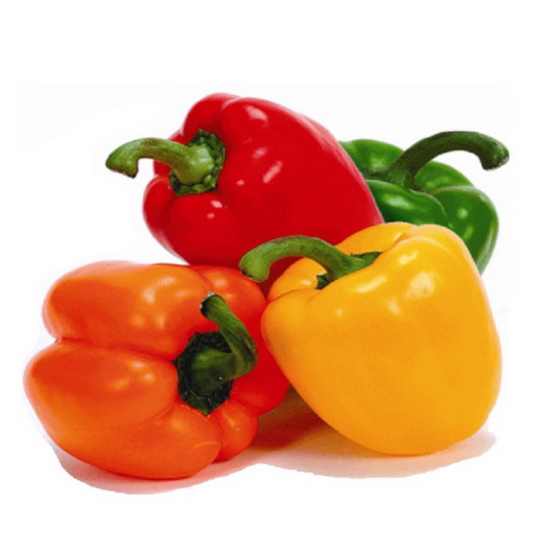 FRESH Mixed Capsicums, 4 Pcs