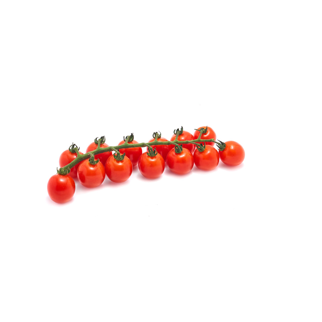 FRESH Strabena Tomatoes, 290g