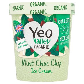 Yeo Valley Organic Mint Choc Chip Ice Cream 500ml
