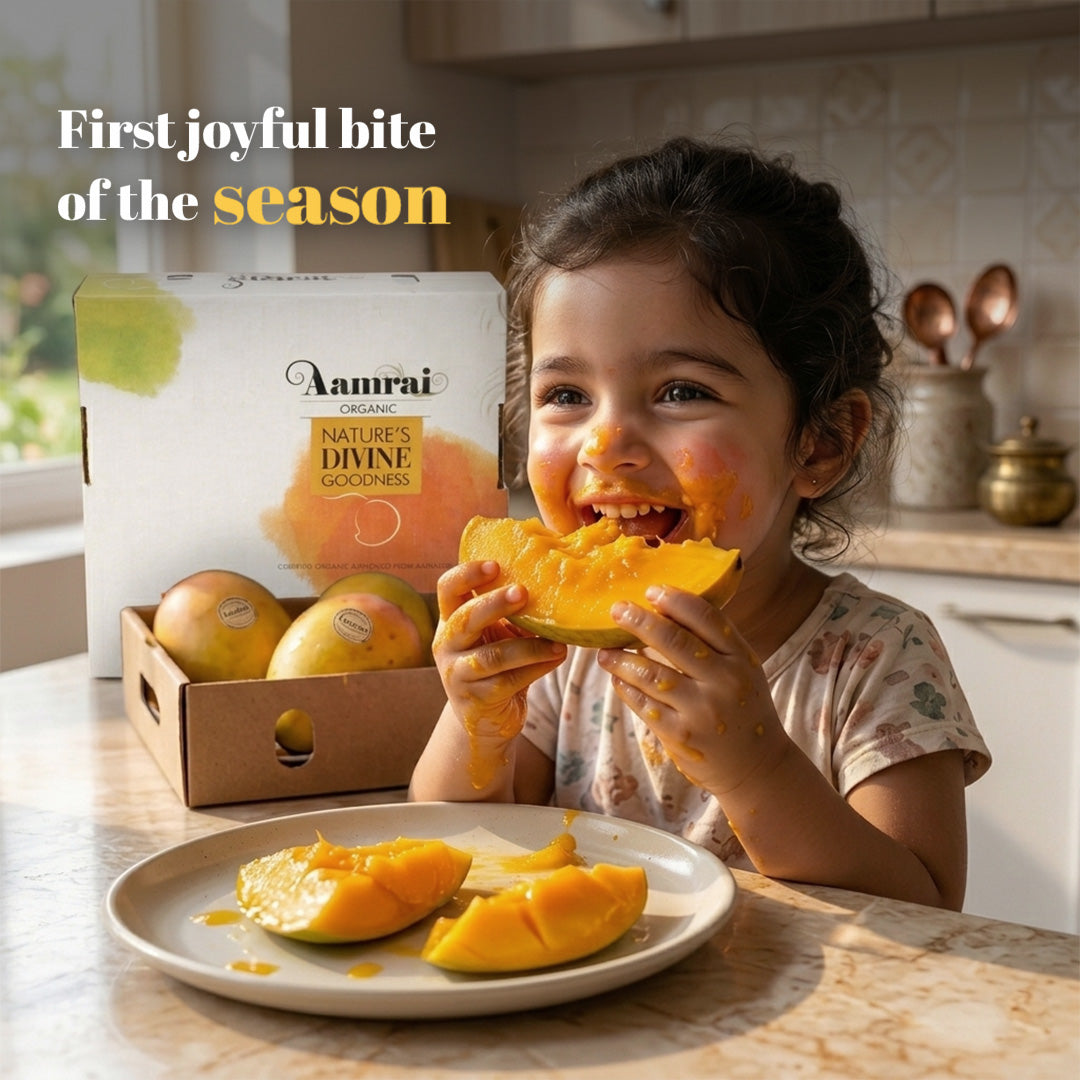 AAMRAI Organic Alphonso Mangoes – Legend (Box of 9 Jumbo Premium Ratnagiri Hapus)
