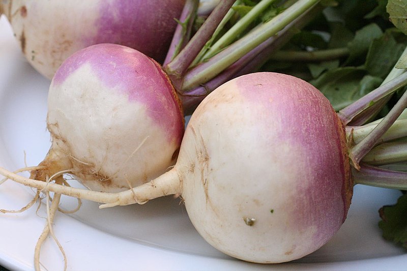 FRESH Turnips, 1Kg (7 to 8 Pcs)