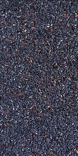 ORGANIC LARDER Black Rice, 500g - Organic, Vegan, Natural