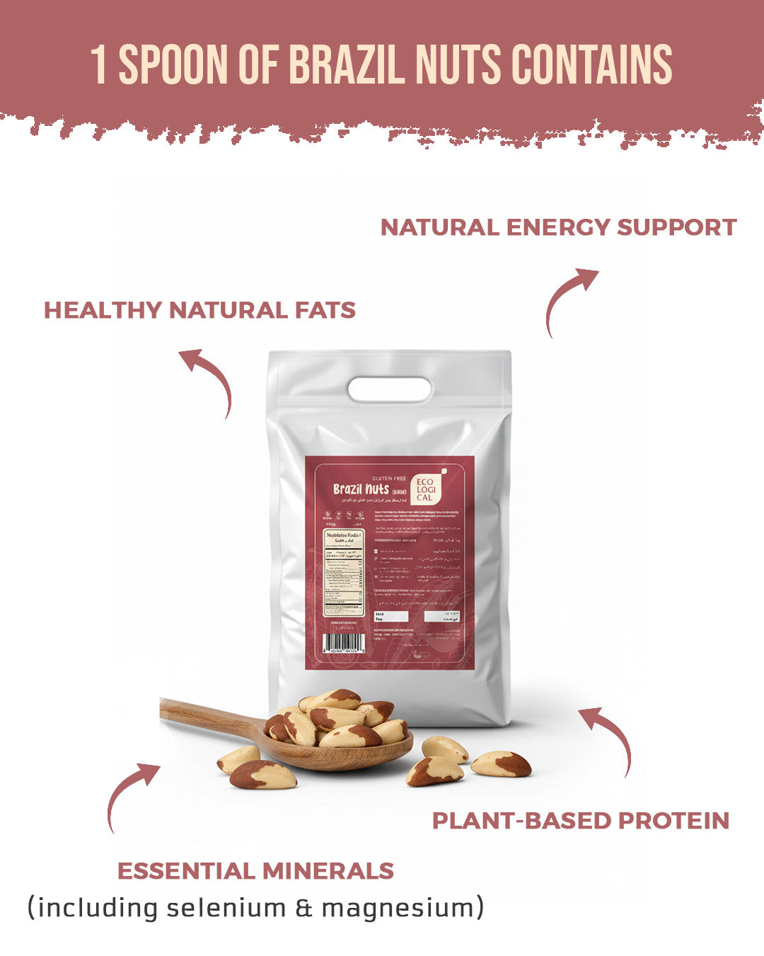 Ecological Brazil Nuts  (Raw) 2.5 Kg