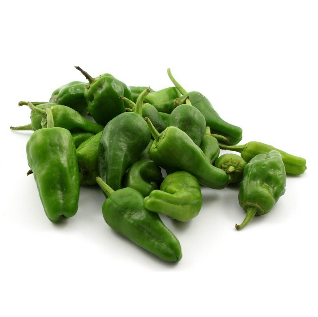 FRESH Padron Peppers, 1Kg - Main Image