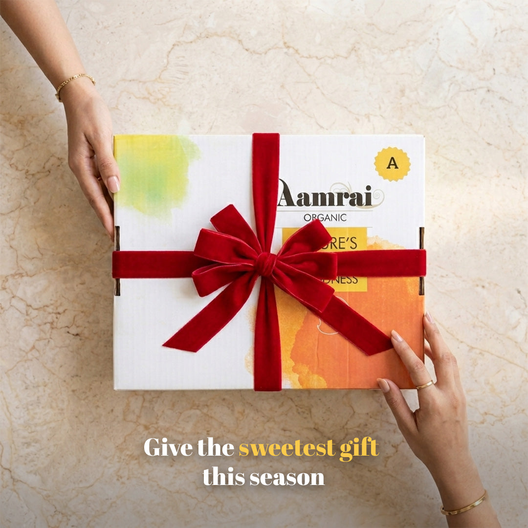 AAMRAI Organic Alphonso Mangoes – Exotic (Box of 12 Premium Ratnagiri Hapus)