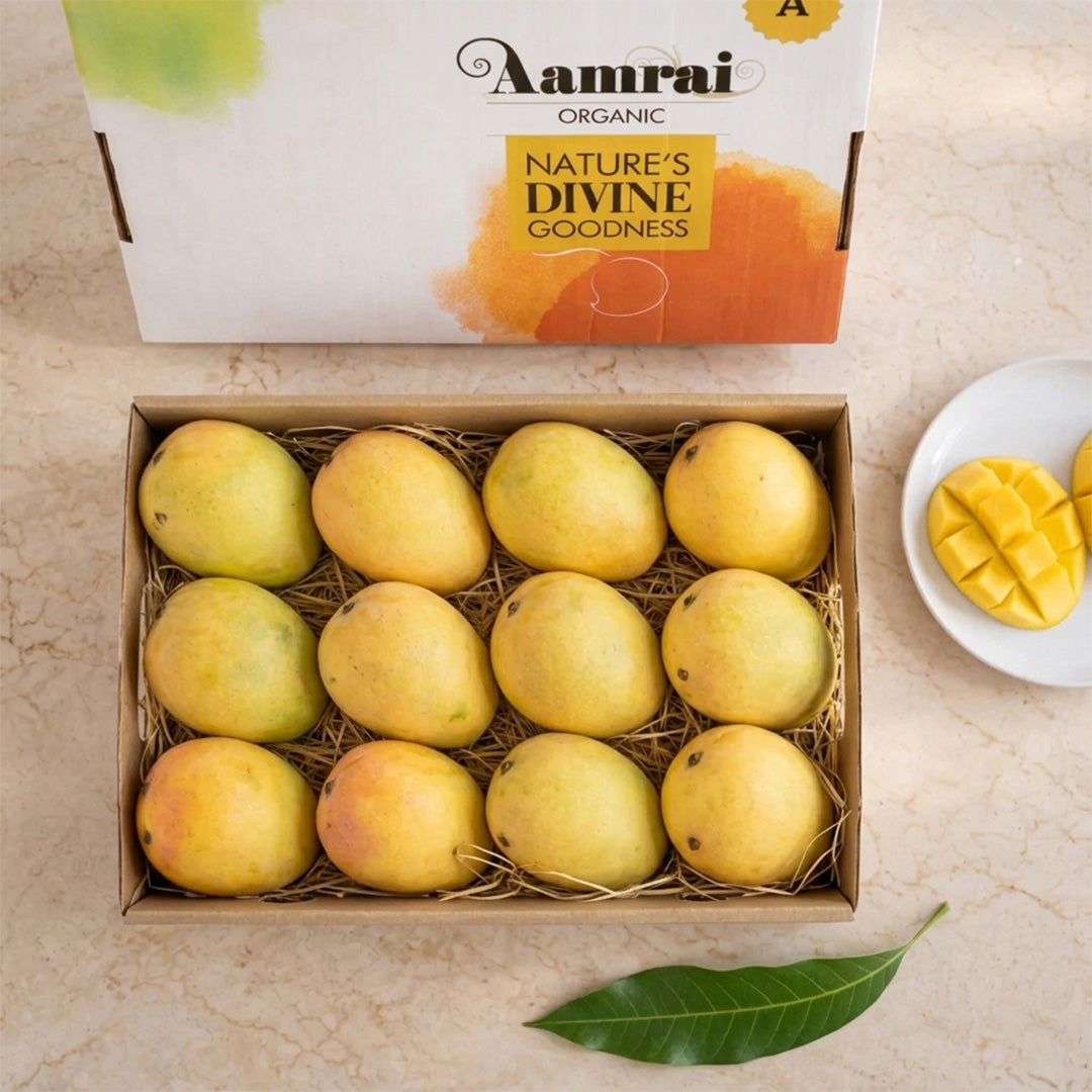 AAMRAI Organic Alphonso Mangoes – Exotic (Box of 12 Premium Ratnagiri Hapus)