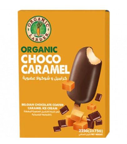 ORGANIC LARDER Choco Caramel Ice Cream, 225g - Organic