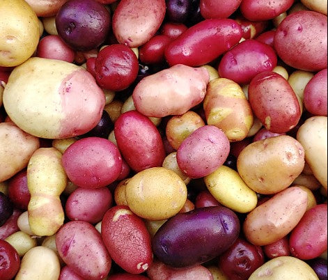 FRESH Mixed Potatoes, 1Kg