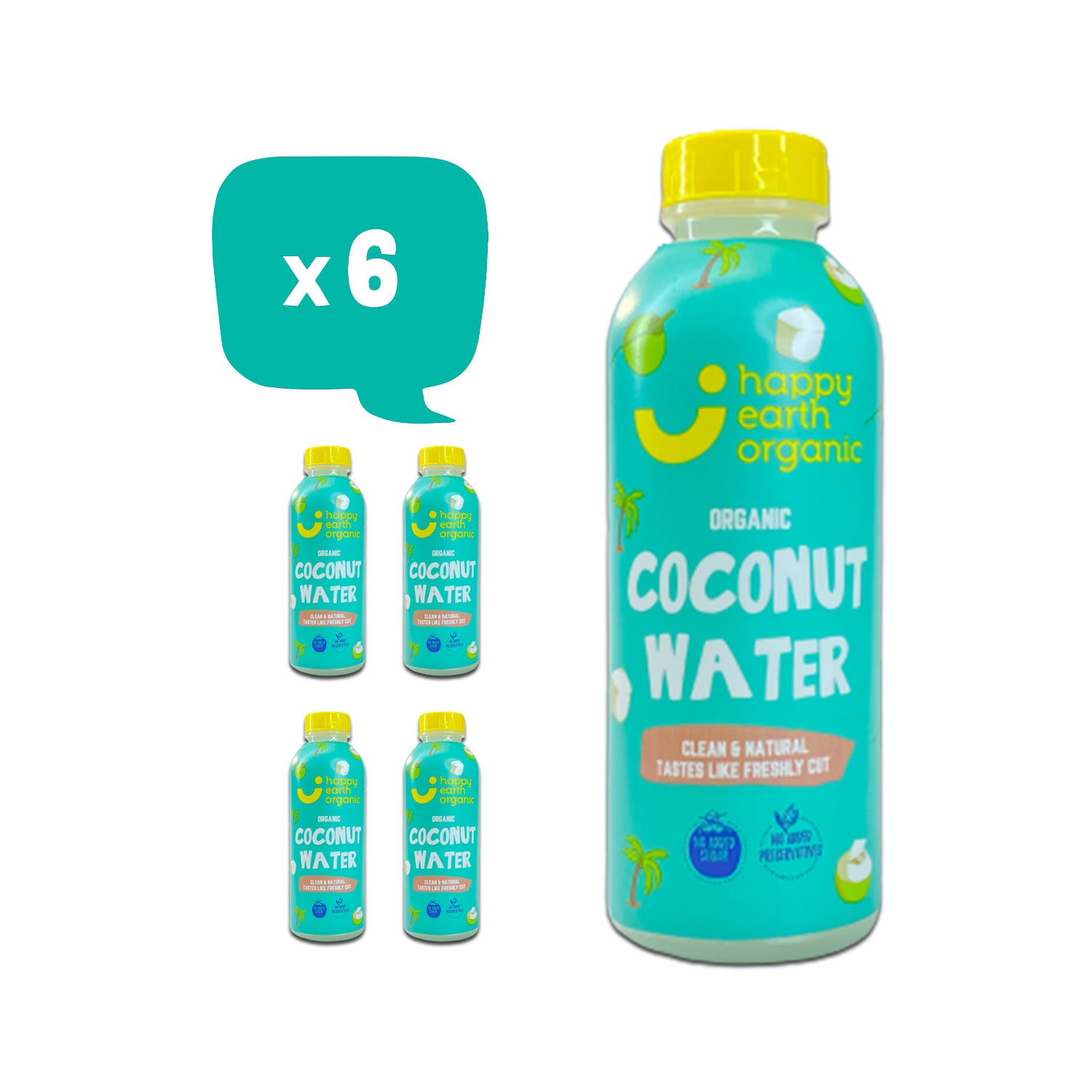 HAPPY EARTH Organic Coconut Water, 250ml (Pack of 6) - Organic, Natural
