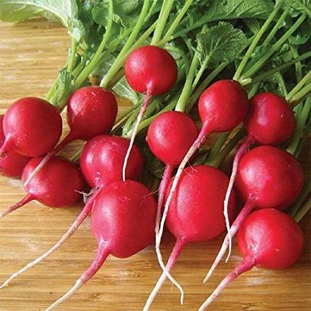 FRESH Red Radish, 70g to 80g