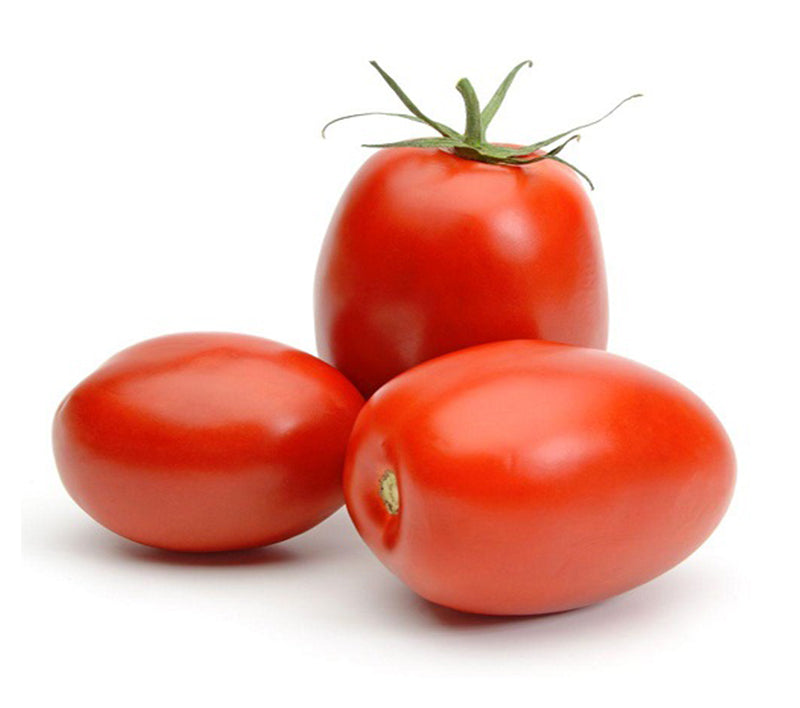 FRESH Plum Tomatoes, 1Kg