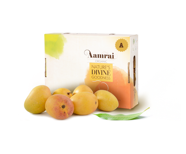 AAMRAI Organic Alphonso Mangoes - Golden, Box of 6 Pcs