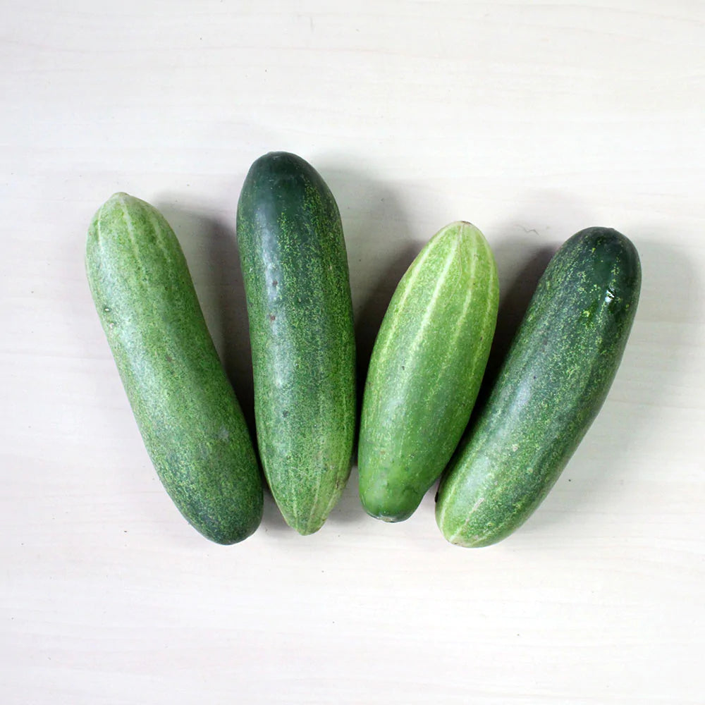 ORGANIC English Cucumbers, 300g to 400g (1 Pc)