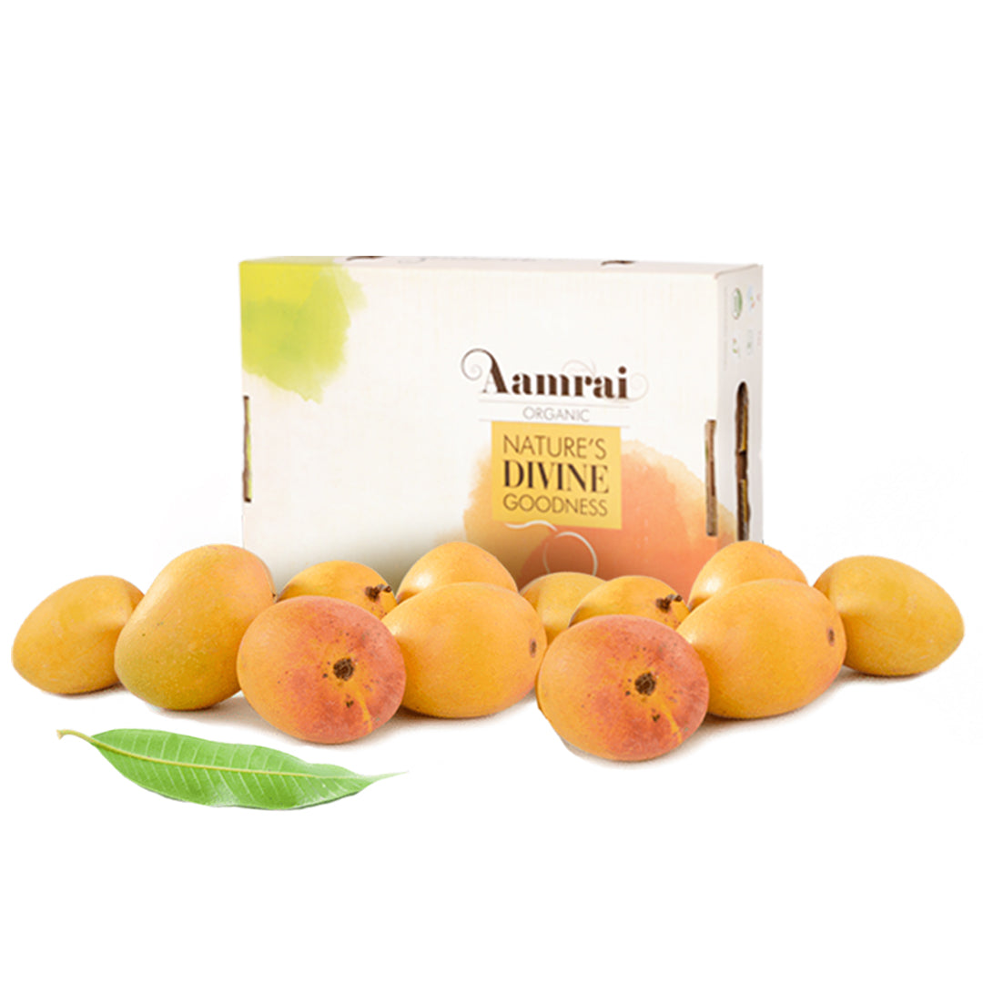 AAMRAI Organic Alphonso Mangoes - Exotic, Box of 12Pcs
