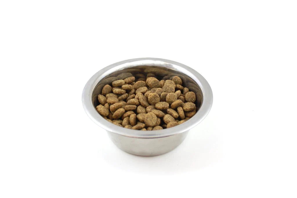 Vegan wet dog sales food
