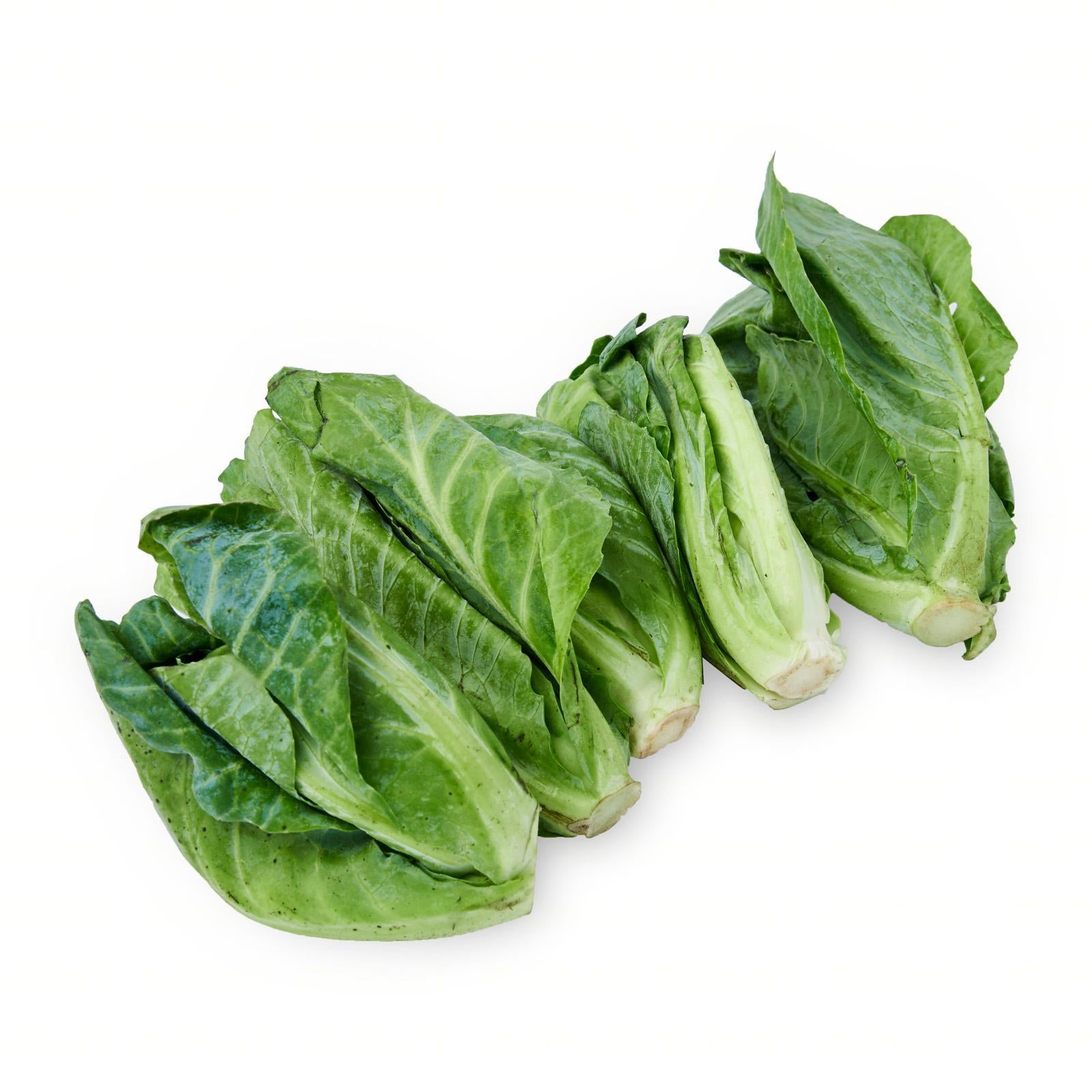 FRESH Baby Kailan Leaves, 50g