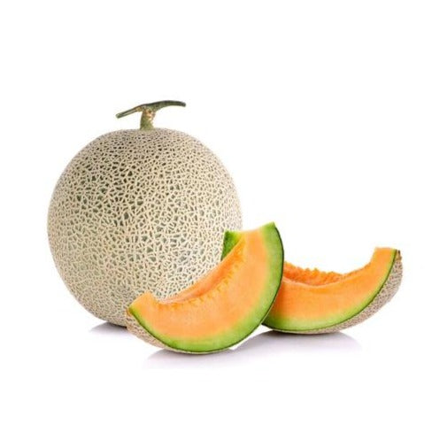 FRESH Rock Melon, 1.5 - 1.8Kg