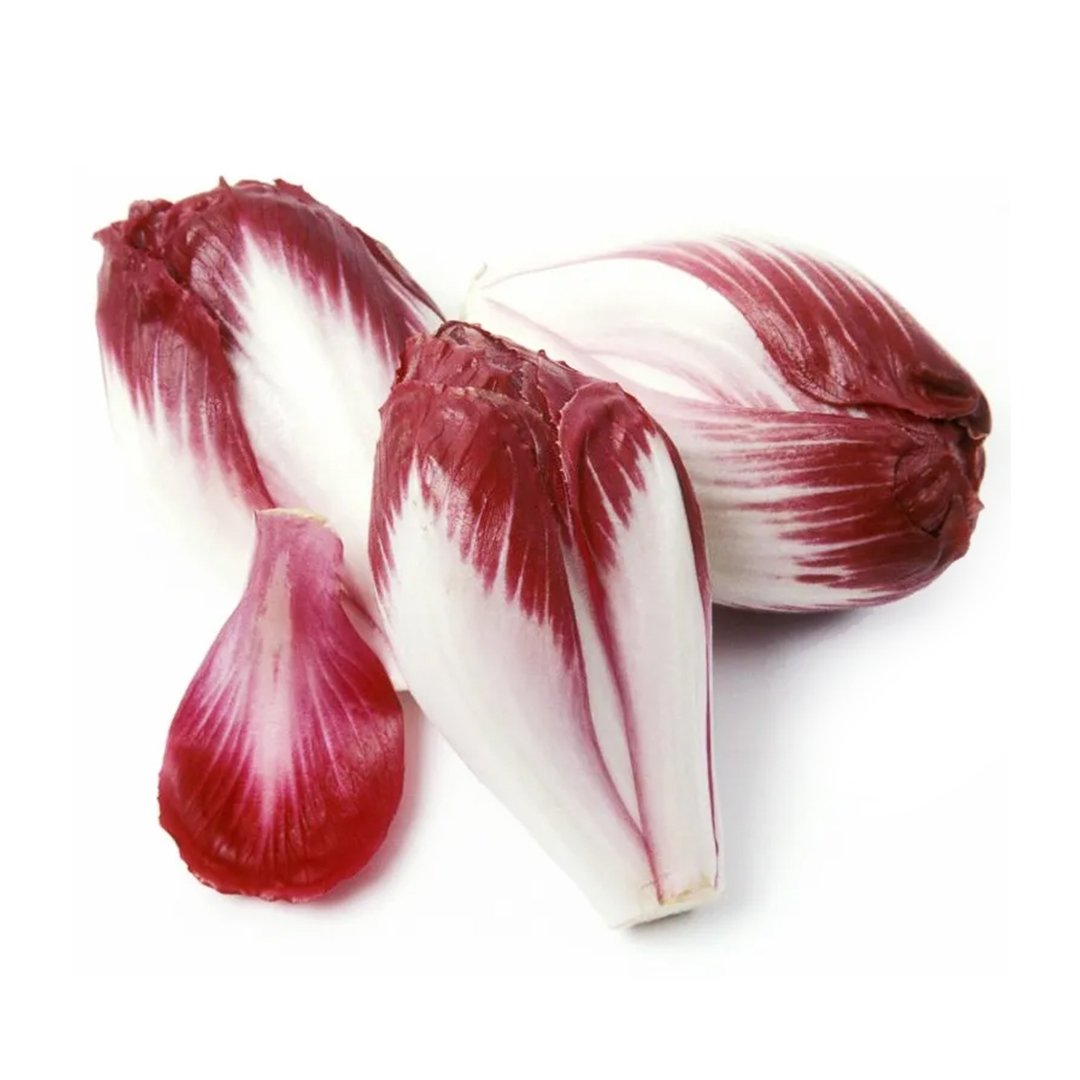FRESH Endive Chicory Red from Holland, 500g